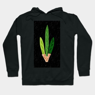 Lulav Black Print Hoodie